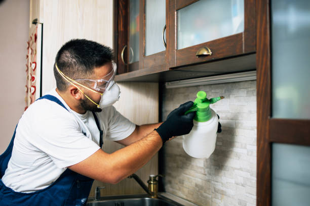 Trusted Concord, AL Pest Control Experts